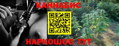 прущие грибы Гай